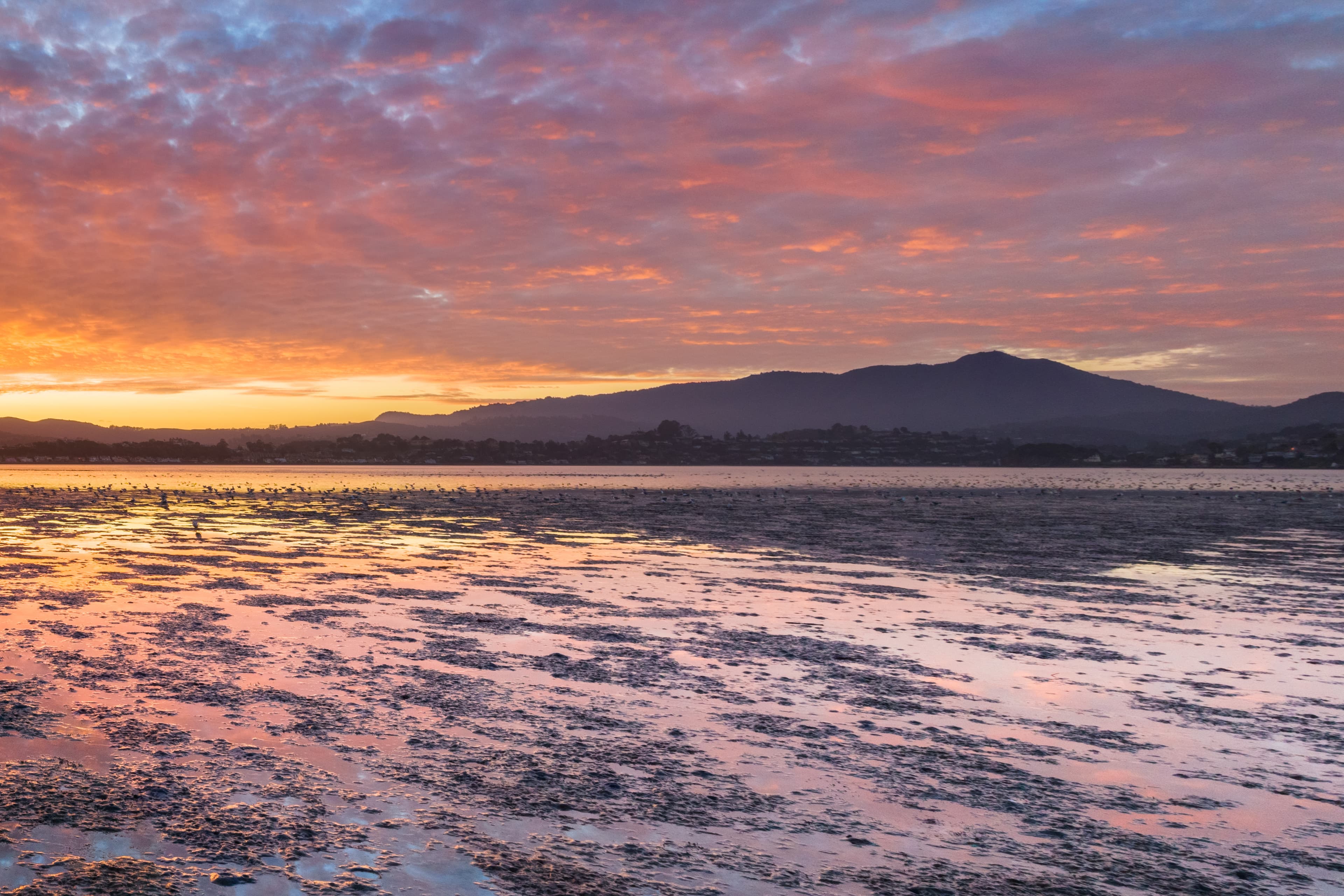 Sunset over Belvedere Lagoon in Marin County